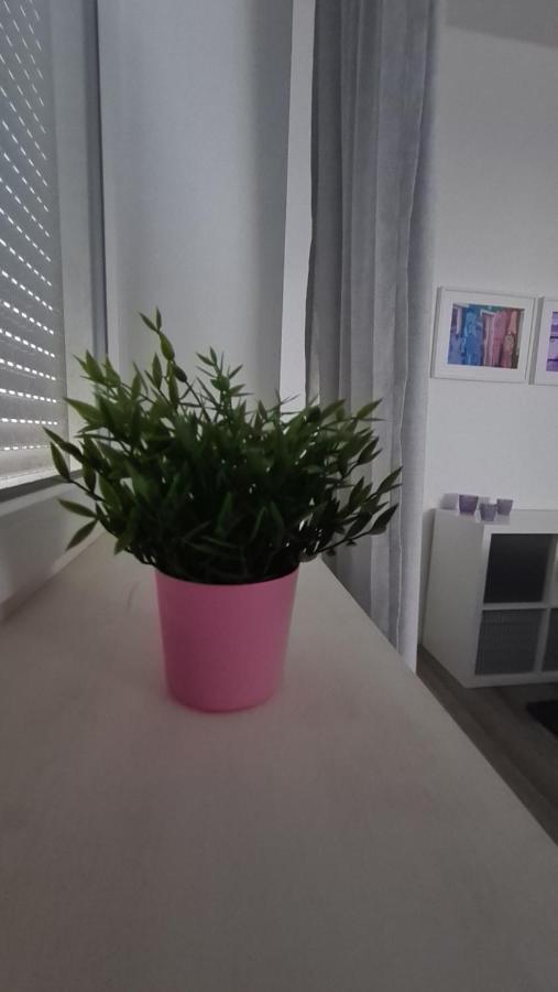 Appartement Lavendel, Ferienwohnung Mit Eigenem Eingang Wie Ein Kleines Haus Bad Salzuflen Ngoại thất bức ảnh